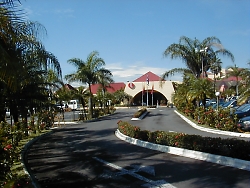 Click picture for bigger format.